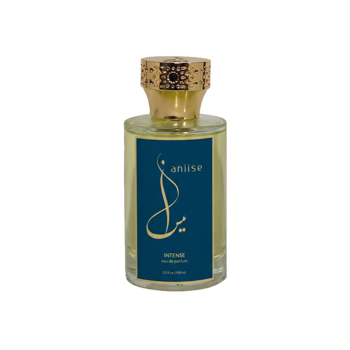 Aniise Eau de Parfum Intense for Men — bold cruelty-free fragrance inspired by YSL Homme, made in the USA